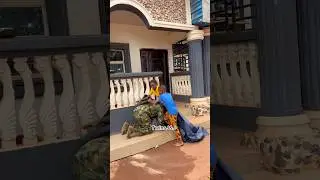 Soldier&rsquo;s smart kids