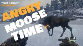 ANGRY MOOSE TIME