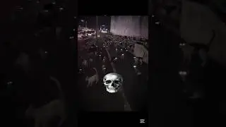 Cats eyes glowing at night ☠️