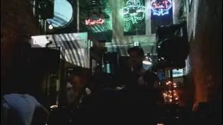 Cantilope In Christmas Tincel