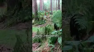 Hidden enemy gets hit  #airsofting #ukairsoft