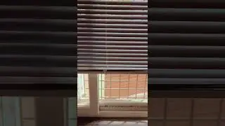 office window curtain #shorts