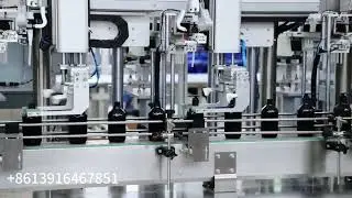 4 nozzle Trigger, Pump cap servo tracking capping machine with cap sorter for shampoo bottle