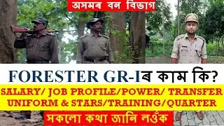 FORESTER GR-I ৰ কাম কি? | ЗАРПЛАТА/ПРОФИЛЬ ДОЛЖНОСТИ/ПОЛНОМОЧИЯ/ПЕРЕНОС/ЗВЕЗДА/УНИФОРМА - ВСЕ ПОД...
