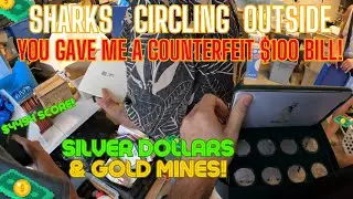 Passing Fake $100's at Garage Sale - Potential $4k Amazon FBA Flip & Silver Stacking - eBay Lens
