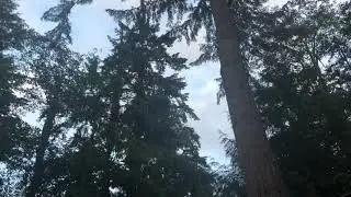 Seattle camping trip 2020🏕