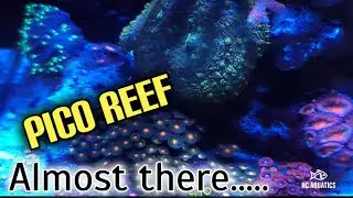 3 Gallon pico reef tank update | chemipure blue now added @hcaquaticsreefing