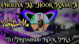 Choliya Ke Hook Raja Ji Dj Remix Song Faadu Electro Tahalka Vibration  JBL BHOJPURI Old Song Dj PRS
