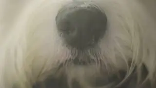 Extreme Close Ups