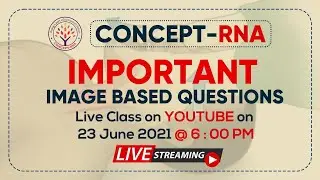 IMPORTANT IMAGE BASED QUESTIONS | Concept RNA