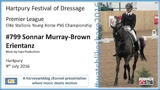 Hartpury Festival of Dressage 2016 Sonnar Murray-Brown