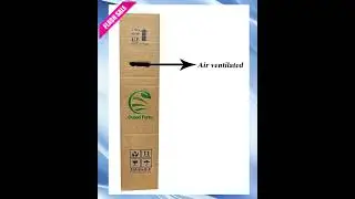 Cloud Farm GREEN GRAPE PLANT (PACK OF 1) GRAFTED - Fruit Tree - Live Outdoor Garden Plant,CF_T108
