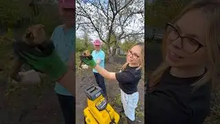 Как мы с папой МУЛЬЧУ делали! #наташкаплюс #дача #diy