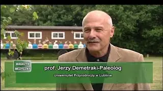 Magazyn Medyczny | Apiterapia | Wybieram Zdrowie | Sądecki Bartnik