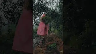 watch the full episode #goa #goawaterfall #goaexplore