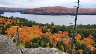 Algonquin Provincial Park Trip | Fall Colours | Peak Day 2020 | Nature at its best ||