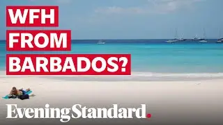 Work remotely from Barbados for up to a year under new scheme