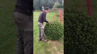 Eyrignac : Secrets de jardin - Tailler votre buis en boule