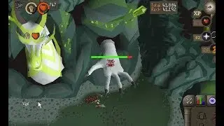 (OSRS) Solo Raid With Dharoks! (2 man scaled)