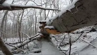Princess Ledges Brunswick Ohio