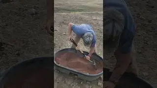 Mineral Day! #hashknife #cow #ranching #cattle @HashknifeRanch