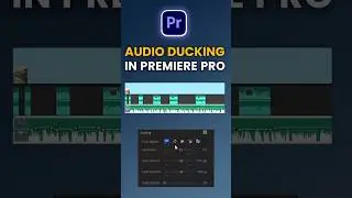 Audio Ducking Premiere Pro | #premierepro #tutorial