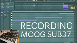 Psytrance track creation Part 3 - Recording MoogSub37