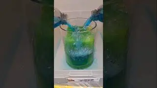 ASMR Sponge squeezing. Full video🔝 Favourite sponge week Day 1/7 Ajax Eucalyptus squeezes