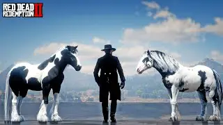 Arthur Morgan Discovers and Tames Majestic Gypsy Cob Horses on a Secret Island in RDR2
