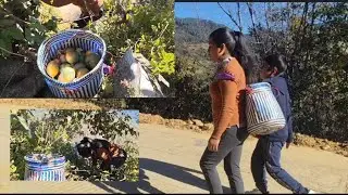Salgo con mi hijo Nico por esta fruta para luego venderlos 