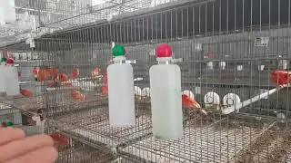 Eu sempre achei que ia ser mais fácil. 😭😭😭😭😭😭