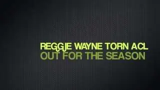 MY THOUGHTS: NFL 10/20/13: INJURY REPORT: REGGIE WAYNE HAS TORN ACL OUT FOR SEASON: