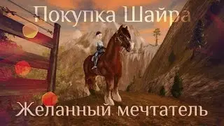 Star Stable Online│Покупка РЫЖЕГО ШАЙРА│НЕМНОГО НЕАДЕКВАТНЫЕ