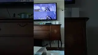 Adam Abel gaming