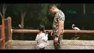 RAK ZOO U.A.E visiting baby monkey&hearts;️&hearts;️&hearts;️