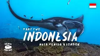 Indonesia Part 2 | Freediving and Spearfishing in Nusa Penida and Lombok