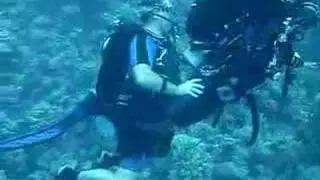 Gay Diver