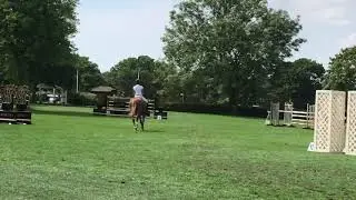 TJM Lavender Lad - hickstead foxhunter
