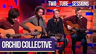 Orchid Collective - 'The Fall' (live) | Two Tube