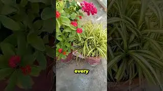 pride destroys success  history of success  #historydocumentary  #motivationalstory
