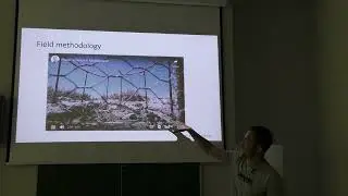 Mating system variation in relation to disease biology in Charadrius plovers