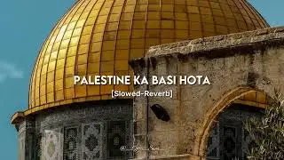 Kash mein Yaaron Palestine ka basi hota #trending #palestine #gaza #islam @BestFeeling-H