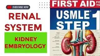 Kidney Embryology #Renal  system 1 | First Aid USMLE Step 1 in Urdu/Hindi |