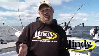 Lindy Shadling