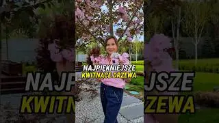 NAJPIĘKNIEJSZE KWITNĄCE DRZEWA #drzewa #kwiaty #ogr&oacute;d #ogr&oacute;dek #rośliny #rosliny