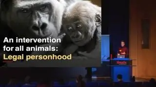 Kelly Witwicki - Effective Animal Activism | EAGx