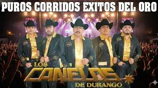Los Canelos de Durango Mix - Las Mejores Canciones de Corridos Norteños
