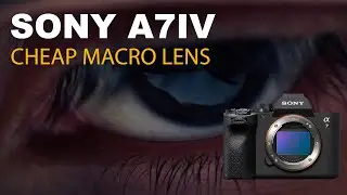 Sony A7 IV Macro Test | Andoer 60mm f/2.8 Cheap Lens Review | S-Log3 DaVinci Resolve