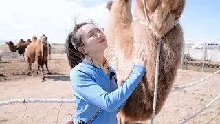 The land of camel milk and honey