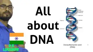 DNA chimeras,  biological dark matter Chromotin, entrons exons